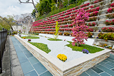 蘇生廟（そせいびょう）